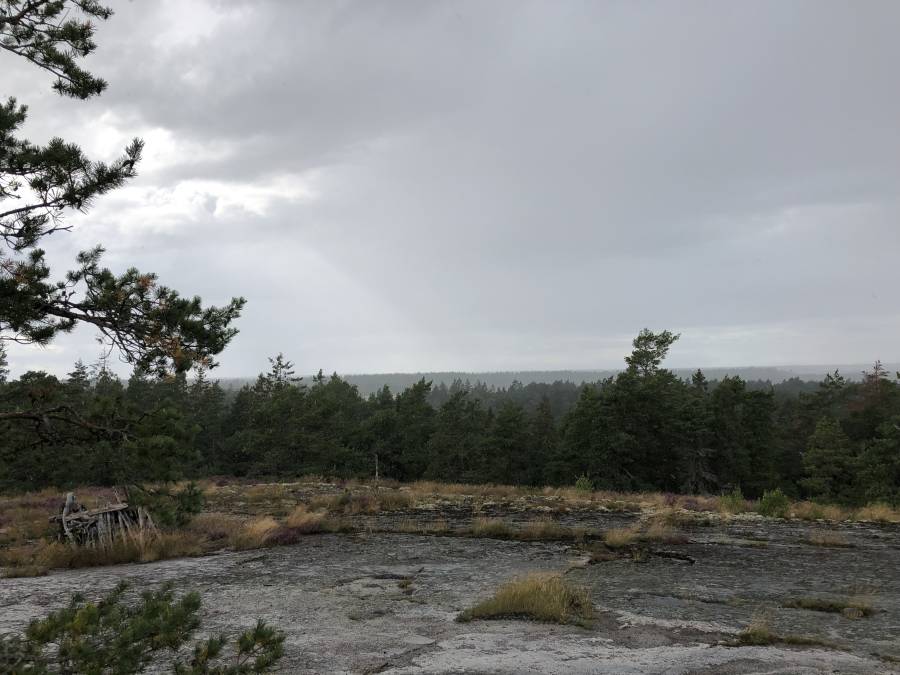 Utsikt från höjdpunkt