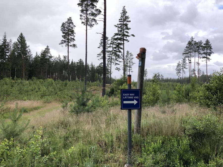 Tveksam vägvisning, vem vill ta den lättare vägen?